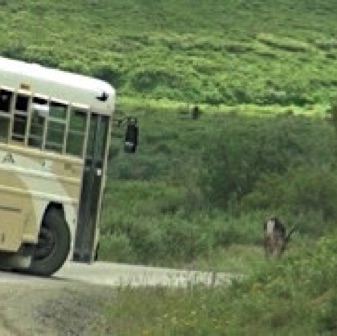 Screen Shot 2016-07-14 at 8.15.57 PM.jpg